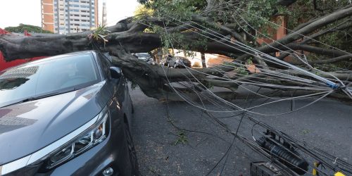 Cinco dias após ciclone, 30 mil clientes estão sem energia em SP Imagem referente a Cinco dias após ciclone, 30 mil clientes estão sem energia em SP