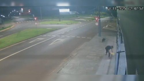 Imagens registram fuga de suspeito de tentativa de furto no Pacaembu, em Cascavel Imagem referente a Imagens registram fuga de suspeito de tentativa de furto no Pacaembu, em Cascavel