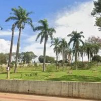 Cidade do Paraná vai ganhar cemitério público exclusivo para pets Imagem referente a Cidade do Paraná vai ganhar cemitério público exclusivo para pets