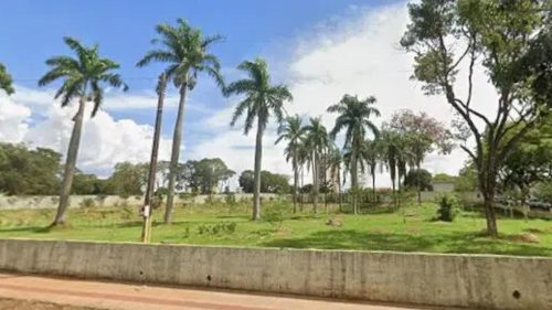 Cidade do Paraná vai ganhar cemitério público exclusivo para pets Imagem referente a Cidade do Paraná vai ganhar cemitério público exclusivo para pets