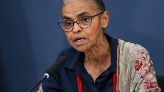 Marina lamenta crime “bárbaro” contra protetor do meio ambiente no PA Marina lamenta crime “bárbaro” contra protetor do meio ambiente no PA