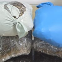 Imagem referente a Receita Federal apreende 1,1 kg de capulho escondido em bebedouro durante fiscalização em transportadora de Cascavel