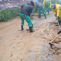Imagem referente a Temporal faz Petrópolis emitir alerta extremo e fechar escolas e lojas