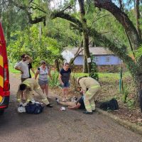 Homem cai de bicicleta e precisa ser socorrido pelo Siate no Centro Imagem referente a Homem cai de bicicleta e precisa ser socorrido pelo Siate no Centro