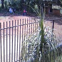 Trio arromba residência e furta eletrônicos no Brasmadeira Imagem referente a Trio arromba residência e furta eletrônicos no Brasmadeira