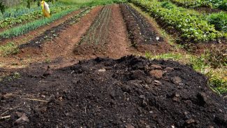 CMN amplia socorro a produtores afetados pelo clima