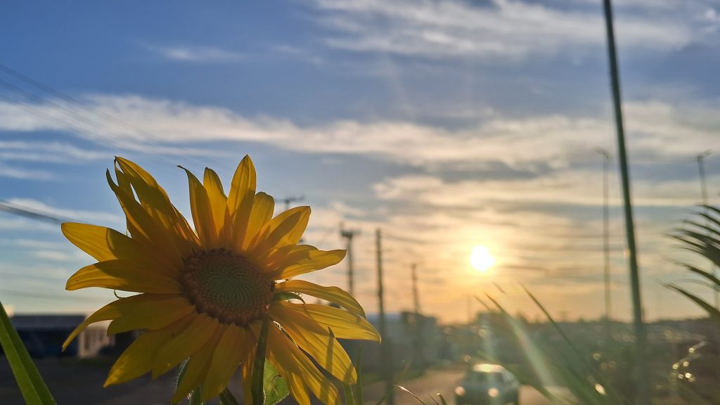 Domingo começa ensolarado e sem previsão de chuva em Cascavel