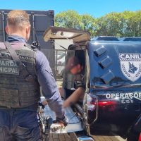 Imagem referente a Homem de 31 anos causa tumulto em visita ao recanto da criança e acaba detido