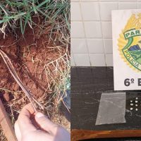 Imagem referente a Dois homens são presos por furto de fios e posse de drogas no Trevo Cataratas, em Cascavel