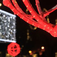 Imagem referente a Aeroporto Regional de Cascavel recebe exposição fotográfica 