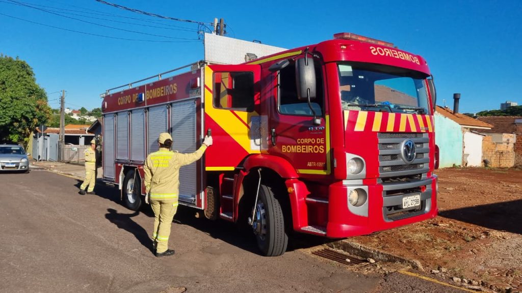 Bombeiros são chamados para capturar serpente em pátio de escola do Parque Verde