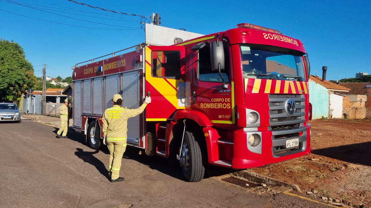 Bombeiros são chamados para capturar serpente em pátio de escola do Parque Verde