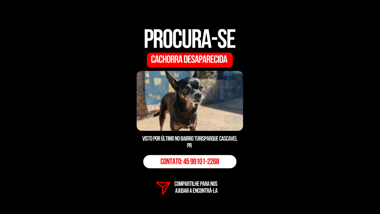 Cachorra Charlotte desapareceu no bairro Turisparque