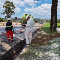 Imagem referente a BR-277 é interditada em Cascavel para limpeza de resíduos químicos