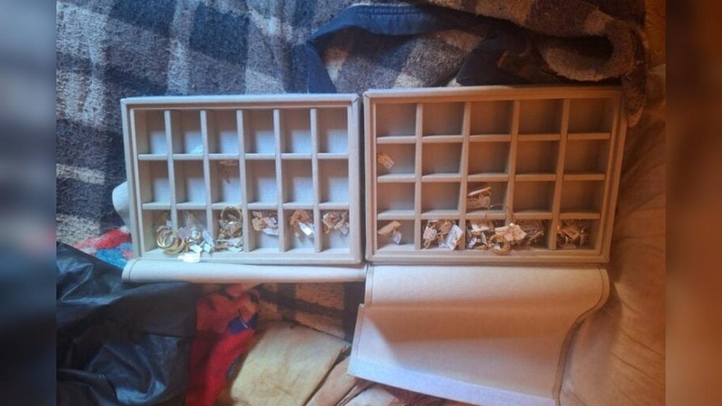 Homem furta R$ 45 mil em joias da casa de conhecido após pedir copo com água