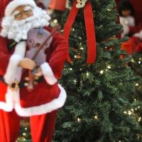 Imagem referente a Hoje é Dia: Natal, ecologia e Cristina Buarque são destaques