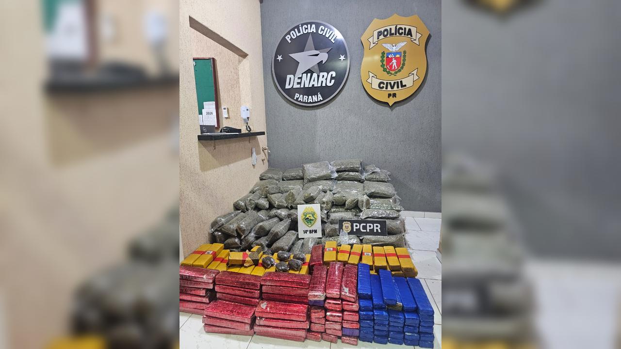 Polícia Civil detalha apreensão de quase 300 quilos de entorpecentes após ação conjunta