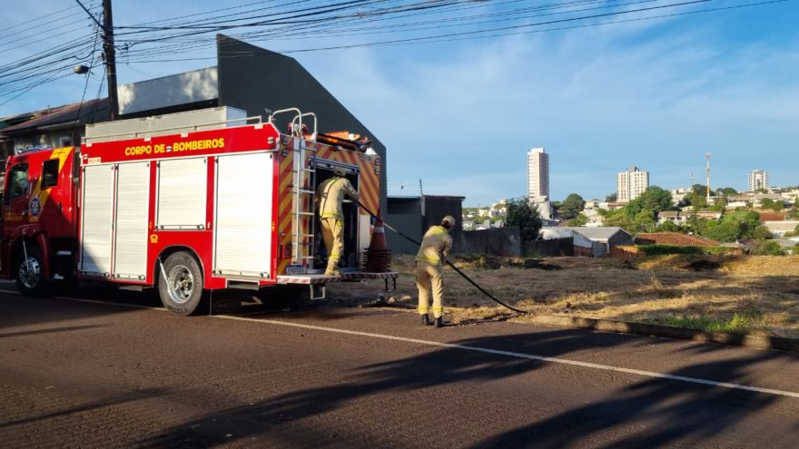 Bombeiros atuam rápido e impedem que fogo se alastre em lote baldio no Parque São Paulo