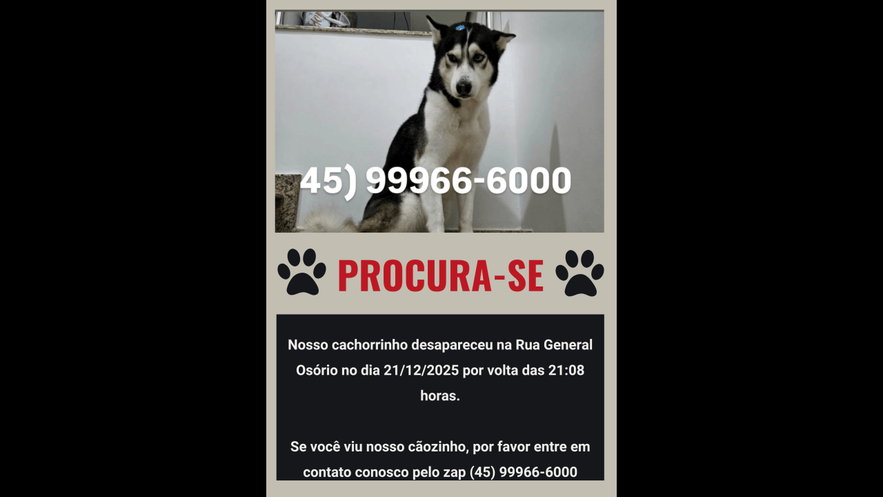 Cachorro desapareceu no bairro Parque São Paulo Cachorro desapareceu no bairro Parque São Paulo