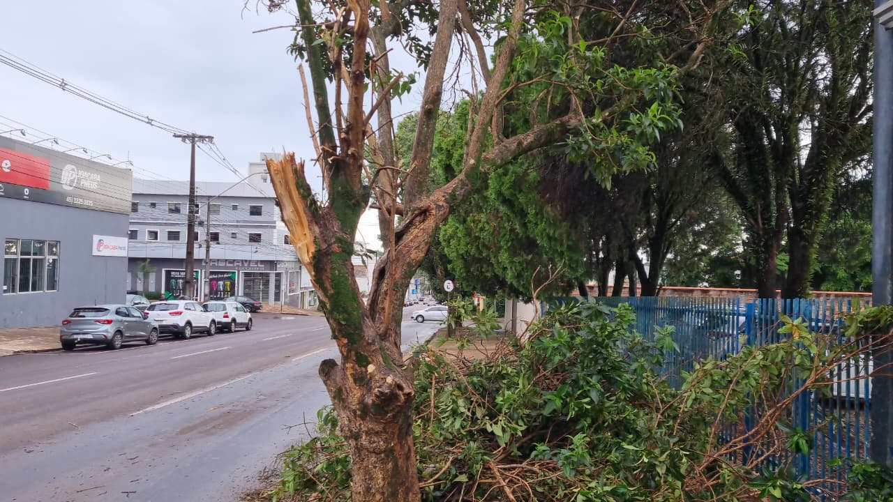 Galho de árvore cai na Rua Erechim e Bombeiros são mobilizados Galho de árvore cai na Rua Erechim e Bombeiros são mobilizados