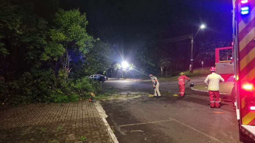 Corpo de Bombeiros realiza corte de árvore após queda de galhos na Região do Lago