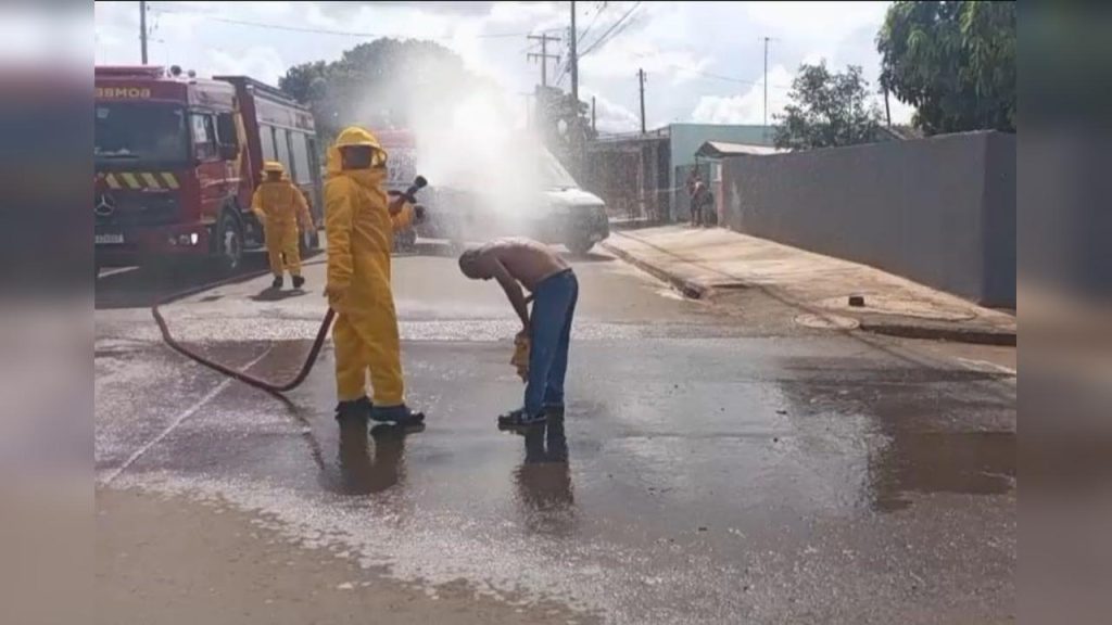 Enxame de abelhas ataca três homens em situação de rua em Sarandi e deixa um em estado grave Enxame de abelhas ataca três homens em situação de rua em Sarandi e deixa um em estado grave