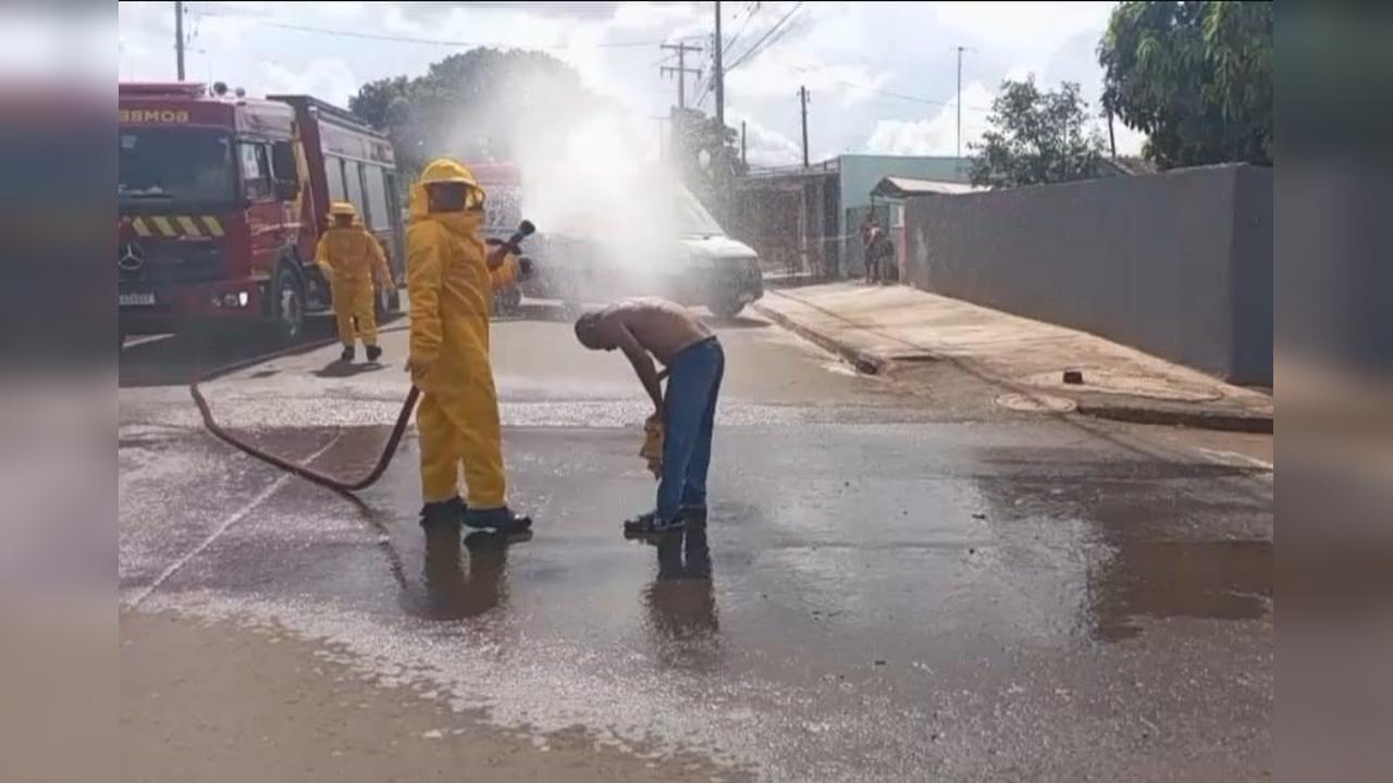 Enxame de abelhas ataca três homens em situação de rua em Sarandi e deixa um em estado grave Enxame de abelhas ataca três homens em situação de rua em Sarandi e deixa um em estado grave