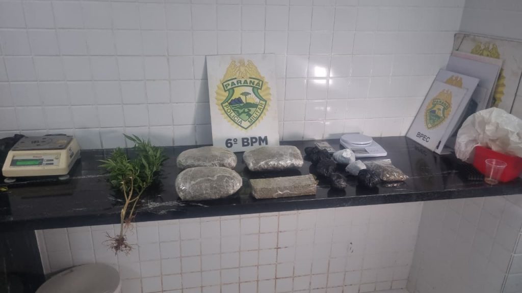 Pés de maconha e drogas embaladas são apreendidas em ação do Choque no Bairro XIV de Novembro
