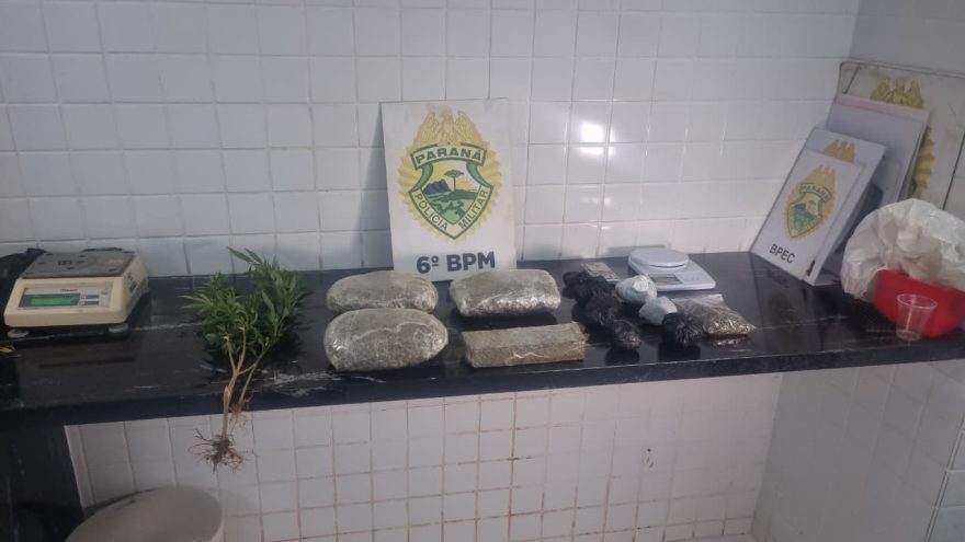 Pés de maconha e drogas embaladas são apreendidas em ação do Choque no Bairro XIV de Novembro