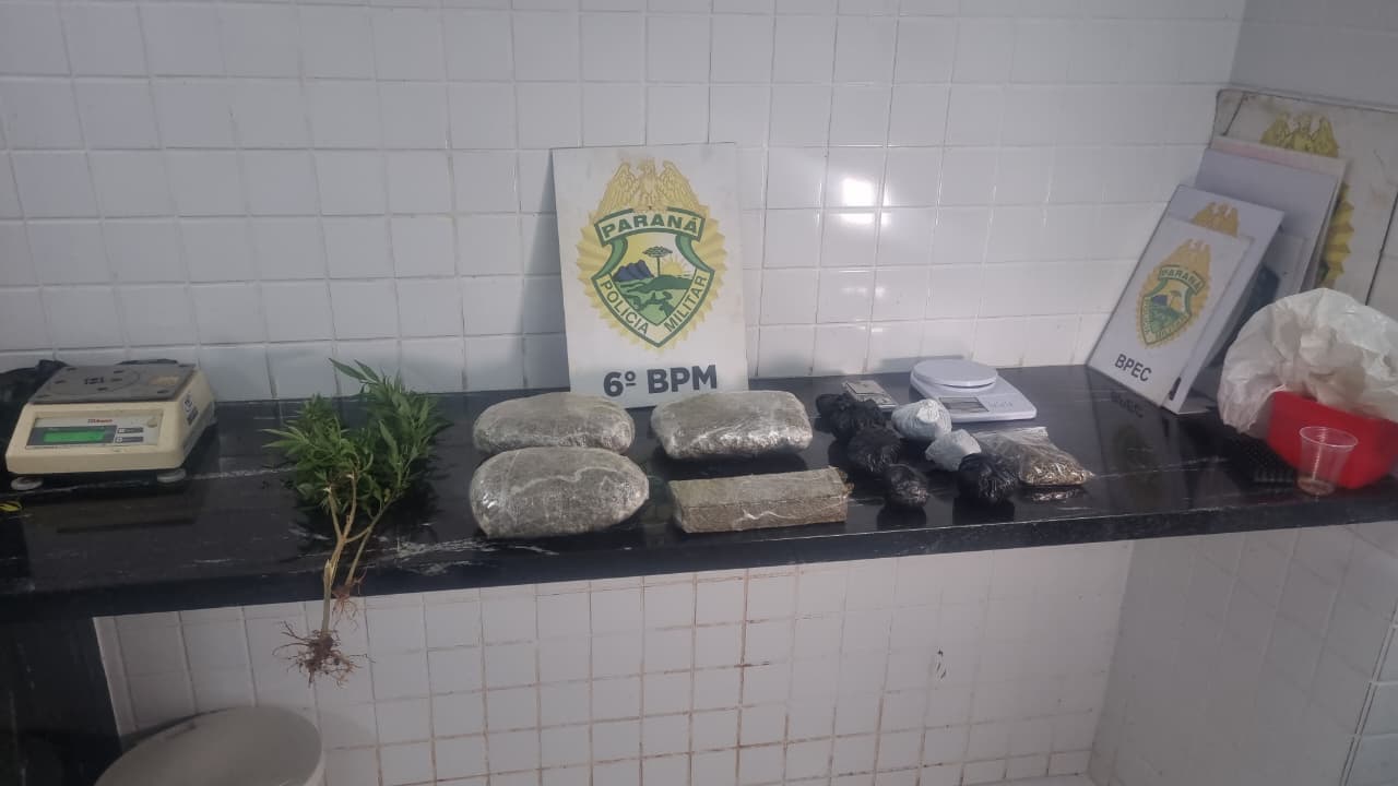 Pés de maconha e drogas embaladas são apreendidas em ação do Choque no Bairro XIV de Novembro Pés de maconha e drogas embaladas são apreendidas em ação do Choque no Bairro XIV de Novembro