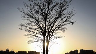 Duas pesquisadoras da Uerj participam do seleto grupo do IPCC da ONU