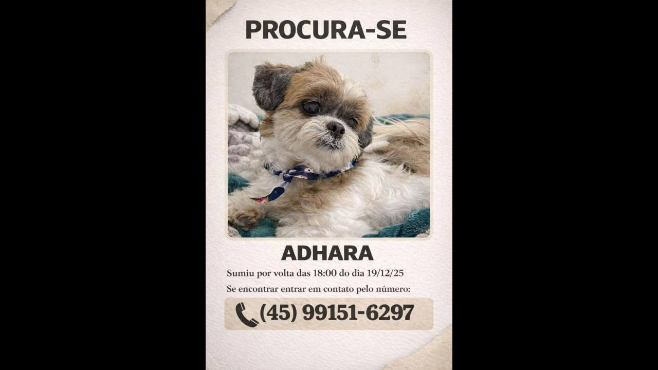 Cachorra é encontrada no bairro Floresta