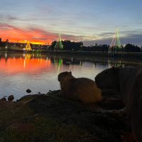 Imagem referente a Depois do Natal, sexta-feira mistura calor, sol e chance de pancadas em Cascavel