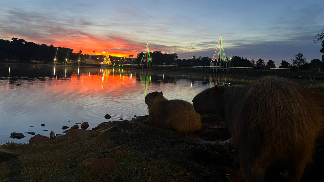 Depois do Natal, sexta-feira mistura calor, sol e chance de pancadas em Cascavel