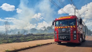 Imagem referente a Bombeiros combatem incêndio em área de vegetação na Rua Rio da Paz