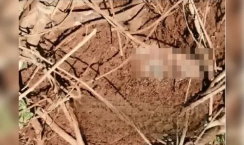Corpo é encontrado enterrado e com partes decepadas Imagem referente a Corpo é encontrado enterrado e com partes decepadas