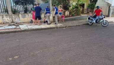 Imagem referente a Menino de 8 anos é atacado por cachorro de rua no bairro Floresta