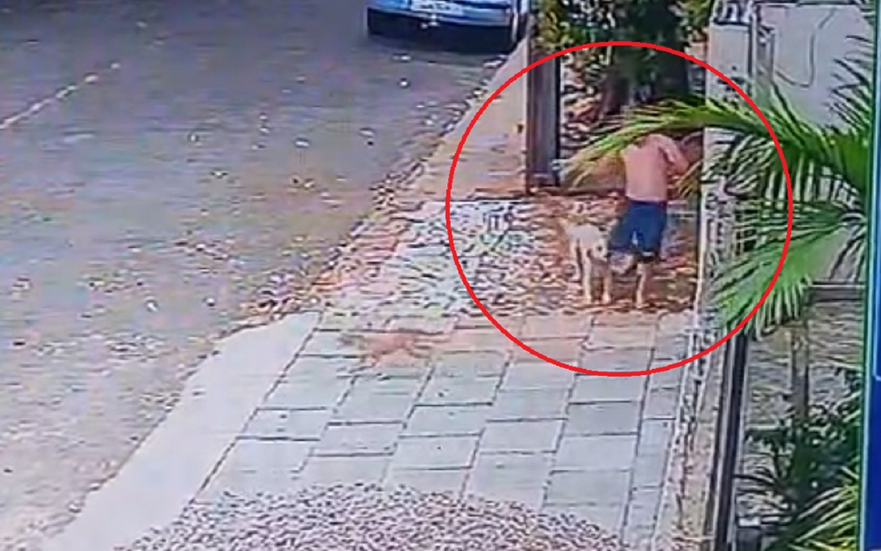 Câmera registra ataque de cão a criança de 8 anos no bairro Floresta, em Cascavel