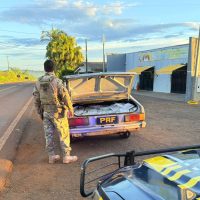 Imagem referente a Ação conjunta apreende 200 quilos de agrotóxicos em Rio do Salto