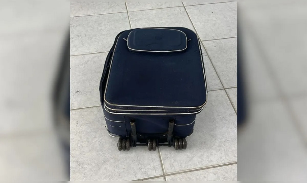 Corpo esquartejado é encontrado dentro de malas em praia de SC