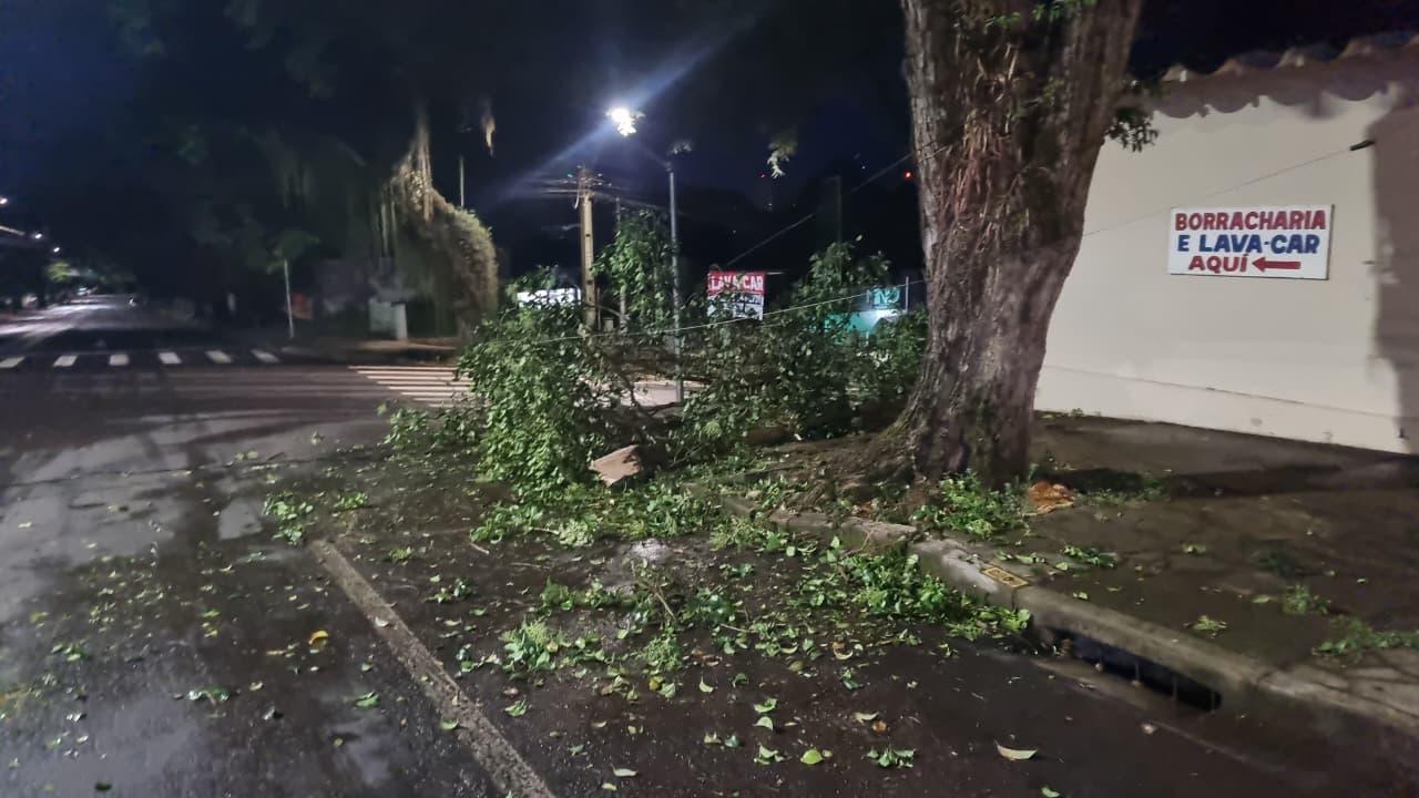 Galhos derrubam fiação elétrica e mobilizam Corpo de Bombeiros no centro