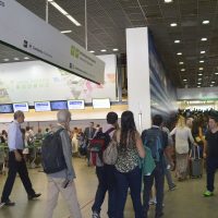 Anac faz operação em aeroportos com maior fluxo em 15 estados Imagem referente a Anac faz operação em aeroportos com maior fluxo em 15 estados