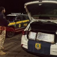 Imagem referente a Polícia Rodoviária Federal apreende 203 quilos de maconha em Santa Terezinha de Itaipu