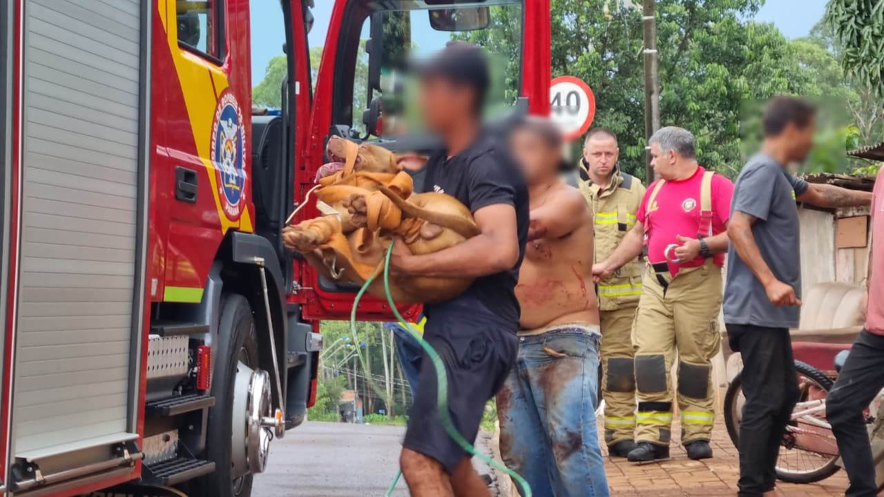Pitbull foge e fere tutor antes de ser capturado pelos Bombeiros em Cascavel