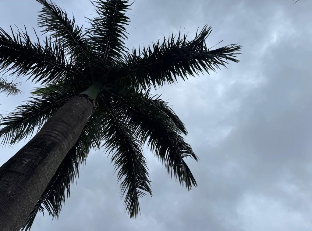 Feriado molhado: primeiro dia do ano já teve 12,4mm de chuva em Cascavel