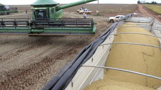 Lei que pune participantes da Moratória da Soja volta a valer em MT Lei que pune participantes da Moratória da Soja volta a valer em MT