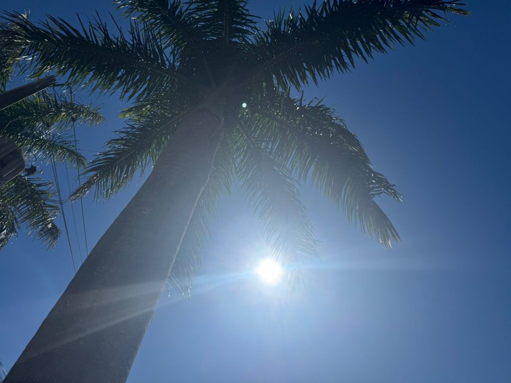 Acordou fresquinho? Prepare-se para o calor deste sábado (3) em Cascavel