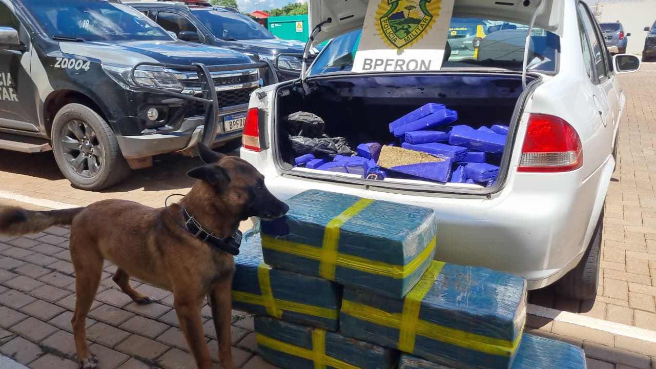 Após acompanhamento tático, BPFron apreende carro carregado com 175kg maconha em Cascavel