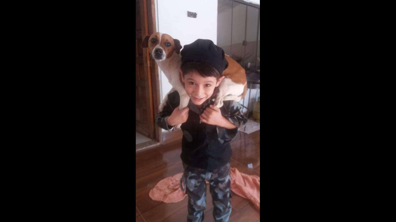 Cachorro Nick desapareceu no bairro Santos Dumont Cachorro Nick desapareceu no bairro Santos Dumont