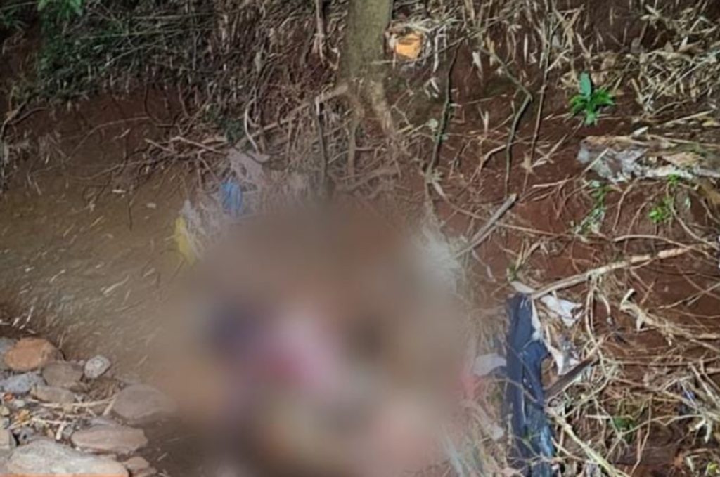 Polícia divulga nome de homem encontrado morto em fundo de vale